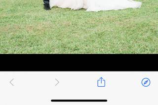 Elizabeth Ann Photography - 12