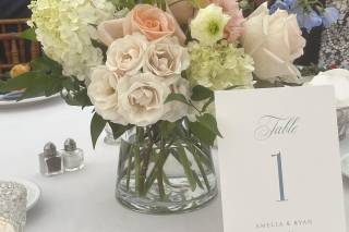Hedge Fine Blooms - 8