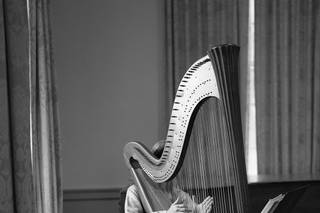 Harp By Request - 6