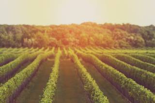 Ricky Restiano Photography - 14