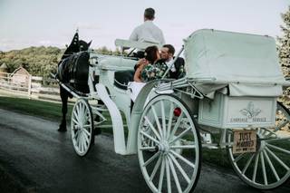 Hemlock Hidden Hames- horse carriage - 1