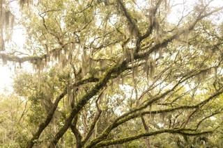 My Tybee Jack Wedding - 28
