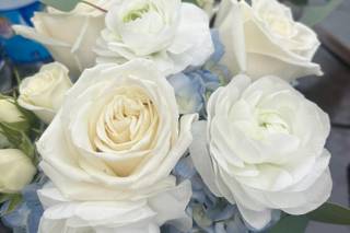 The Secret Garden - 50