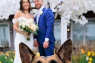 Allegro Photography - 20