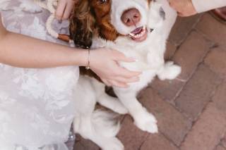 Joshua Maples Professional Wedding Officiant - 16