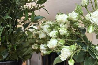 Blooms by the Box - 8