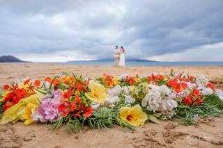 Penny Palmer Photography - 5