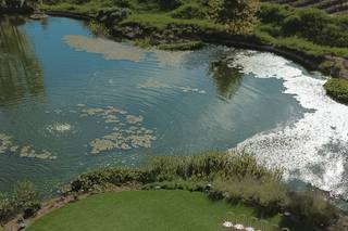 Monserate Winery - 12