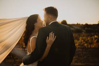 Honeystills Photography - 7