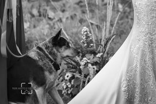 Mark Hartfeld Photography - 10
