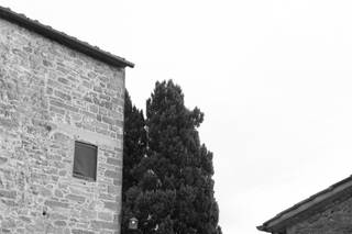 Tenuta Riseccoli - 9