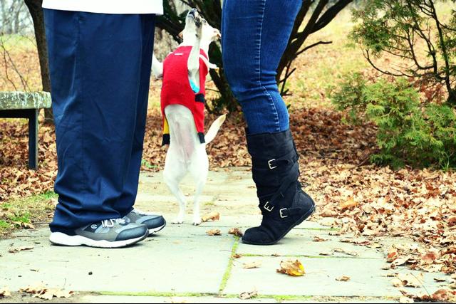 Marucci Photography - 1