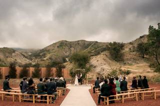 Weddings at Reptacular Animals Ranch in the Forest - 13