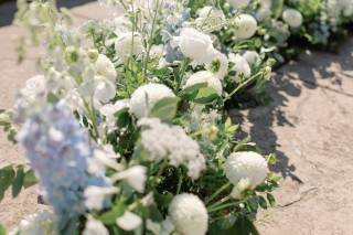 Blüm; Design in Flowers - 5