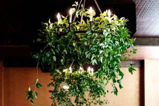 Sandra L. Porterfield Wedding & Event Floral Designs - 25