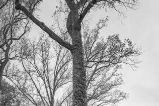 Renee Michele Photography - 7