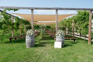 Deer Run Winery - 7