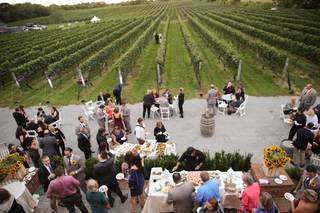 pellegrini vineyards - 11