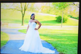 Ag Photos & Video - 58