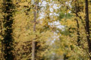 Kassandra Thomsen Photography - 8