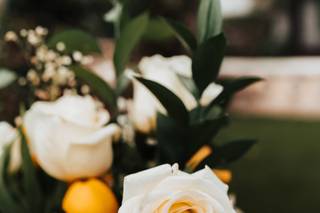 Alicia Lucia Photography - 5