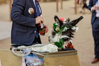 Haul N Ass Productions - 22