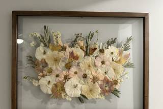 White Poppy Preservation - 11