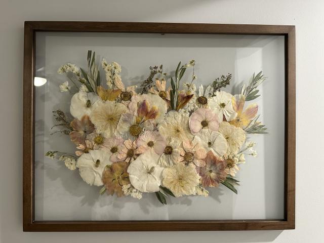 White Poppy Preservation - 4