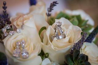 Elissa I. Davidson Photography - 22