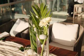 Alma Viva Event Rentals - 8