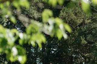 Leslie Spinosa Photography LLC - 10