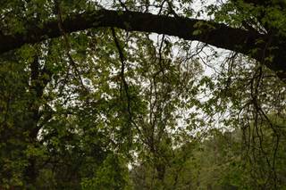Kate Michelle Photography - 9