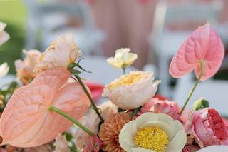 Hakuna Matata Weddings and Events - 6