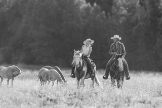 Lisa Marie Photographie - 6