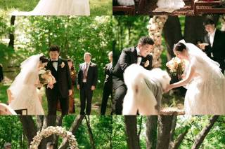 The Wedding Niche - 7