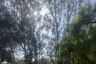Leo Carrillo Ranch Weddings & Special Events - 71