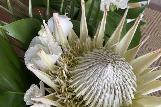 Coastal Blossoms - 18