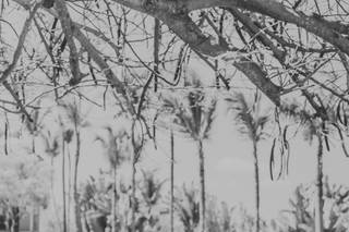 Punta Cana Photo Collective - 17