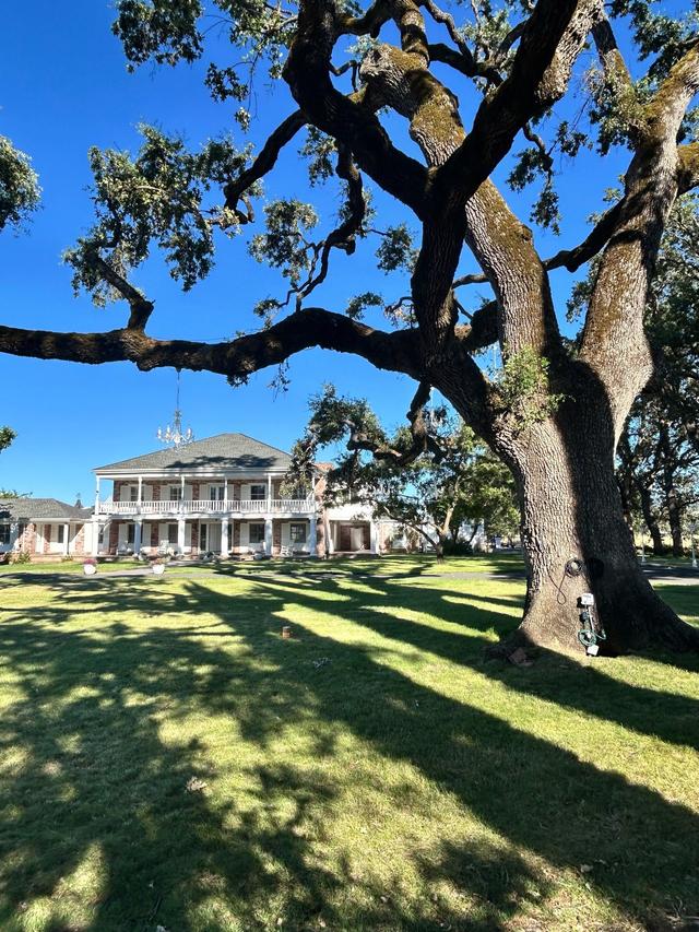 Wine Country Mansion - 2