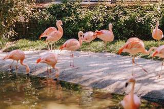 Sunken gardens - 7