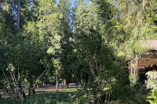 Harmony Ridge Lodge - 6