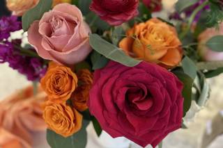 The Painted Primrose - 5