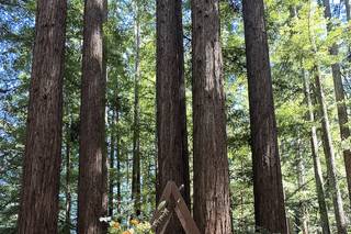Kennolyn – Hilltop Hacienda and Stone Creek Village - 6