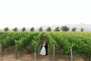 Gainey Vineyard - 6