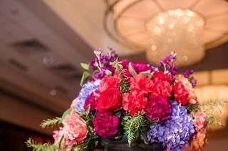 Emily Chappell Photography - 32