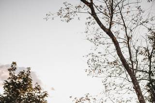 Abigail Jean Photography - 73