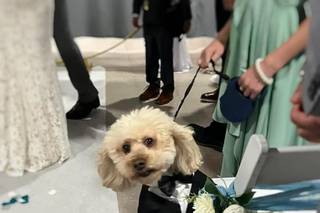 Long Island Wedding Officiant - 8