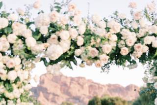Imoni Events - 7