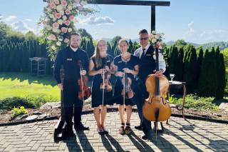 SUMMIT Strings - 56
