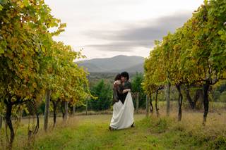 Valley Road Vineyards - 5